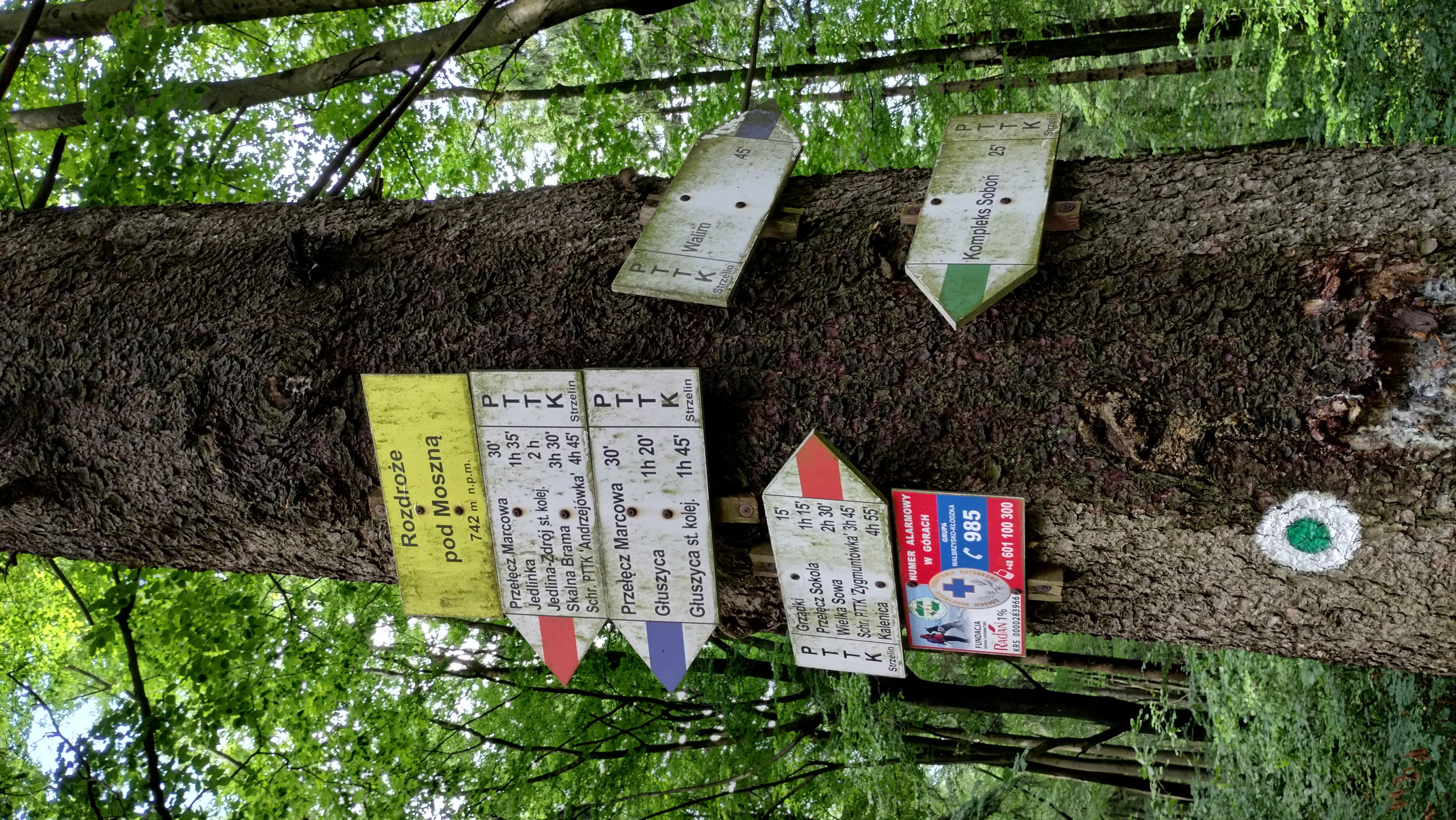 Rozdroże pod Moszną